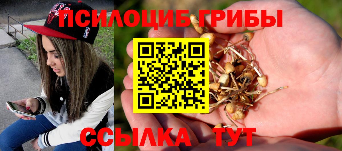 Галлюциногенные грибы GOLDEN TEACHER  Галлюциногенные грибы Cubensis  сколько стоит  Вход с VPN  Туапсе 